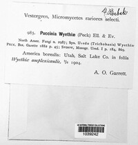 Image Associated With the Occurence